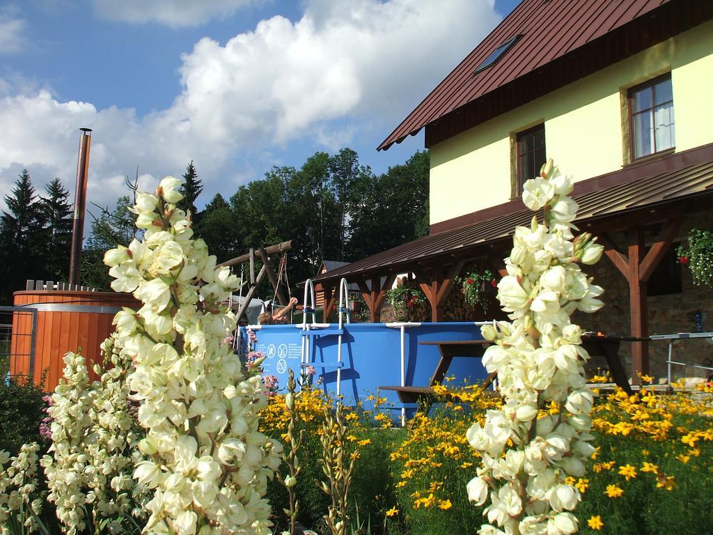Apartments Vecernik Rokytnice Rokytnice nad Jizerou Eksteriør billede