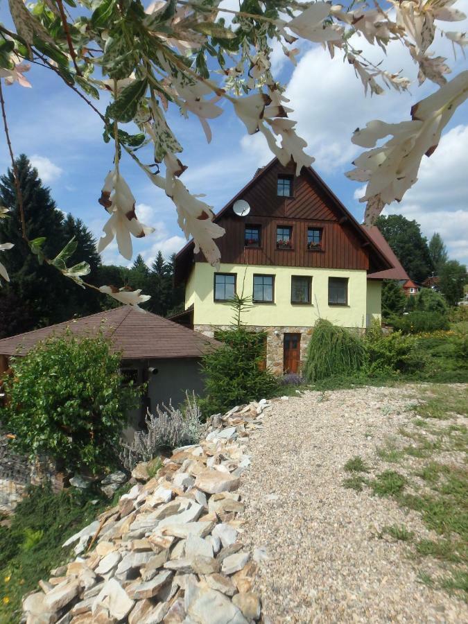 Apartments Vecernik Rokytnice Rokytnice nad Jizerou Eksteriør billede