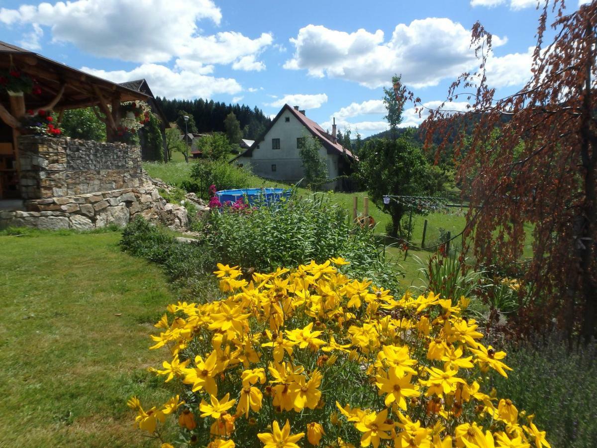 Apartments Vecernik Rokytnice Rokytnice nad Jizerou Eksteriør billede