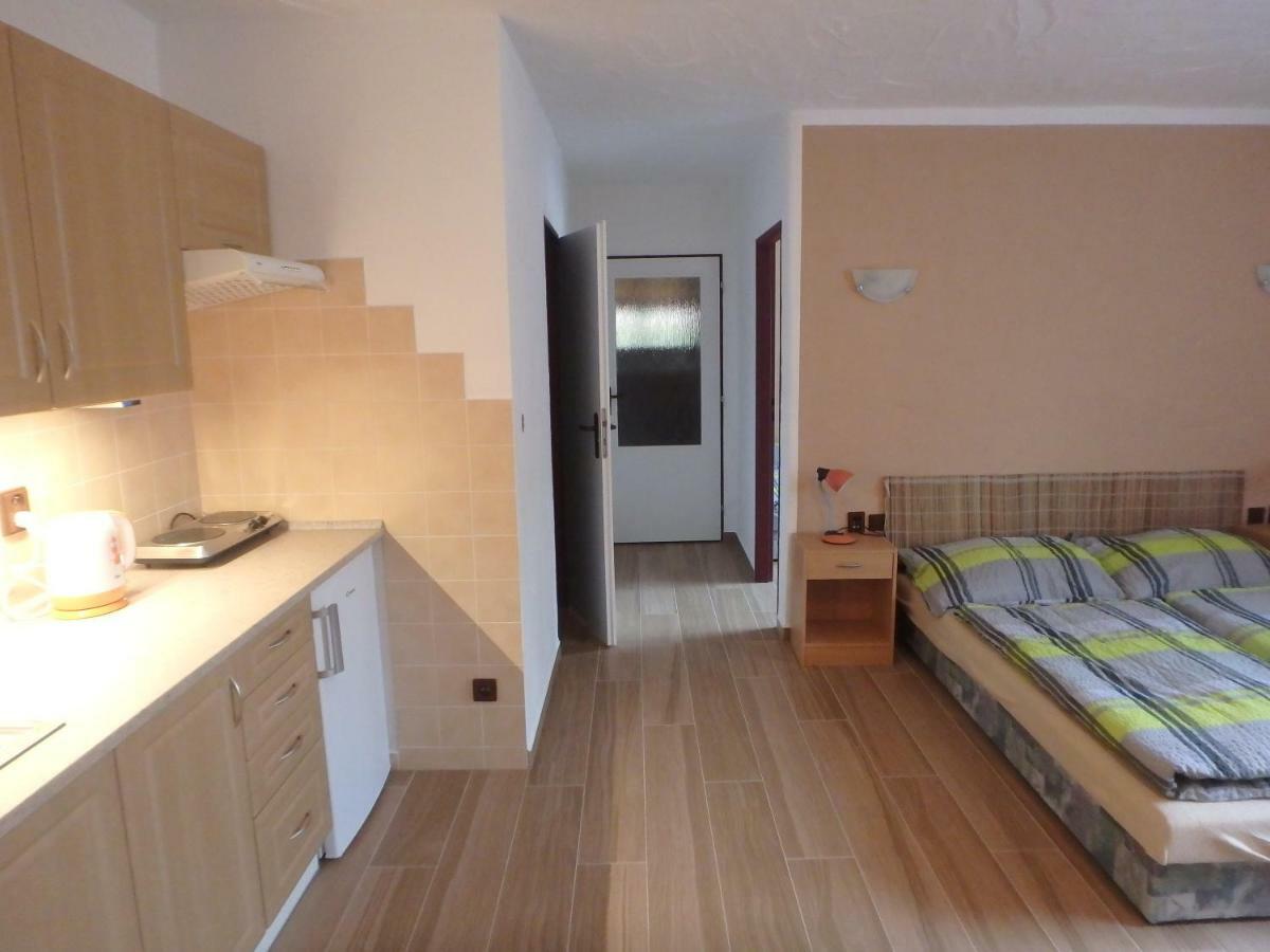 Apartments Vecernik Rokytnice Rokytnice nad Jizerou Eksteriør billede